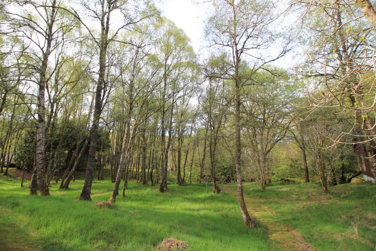 Burnbank Lodges Spean Bridge Kültér fotó