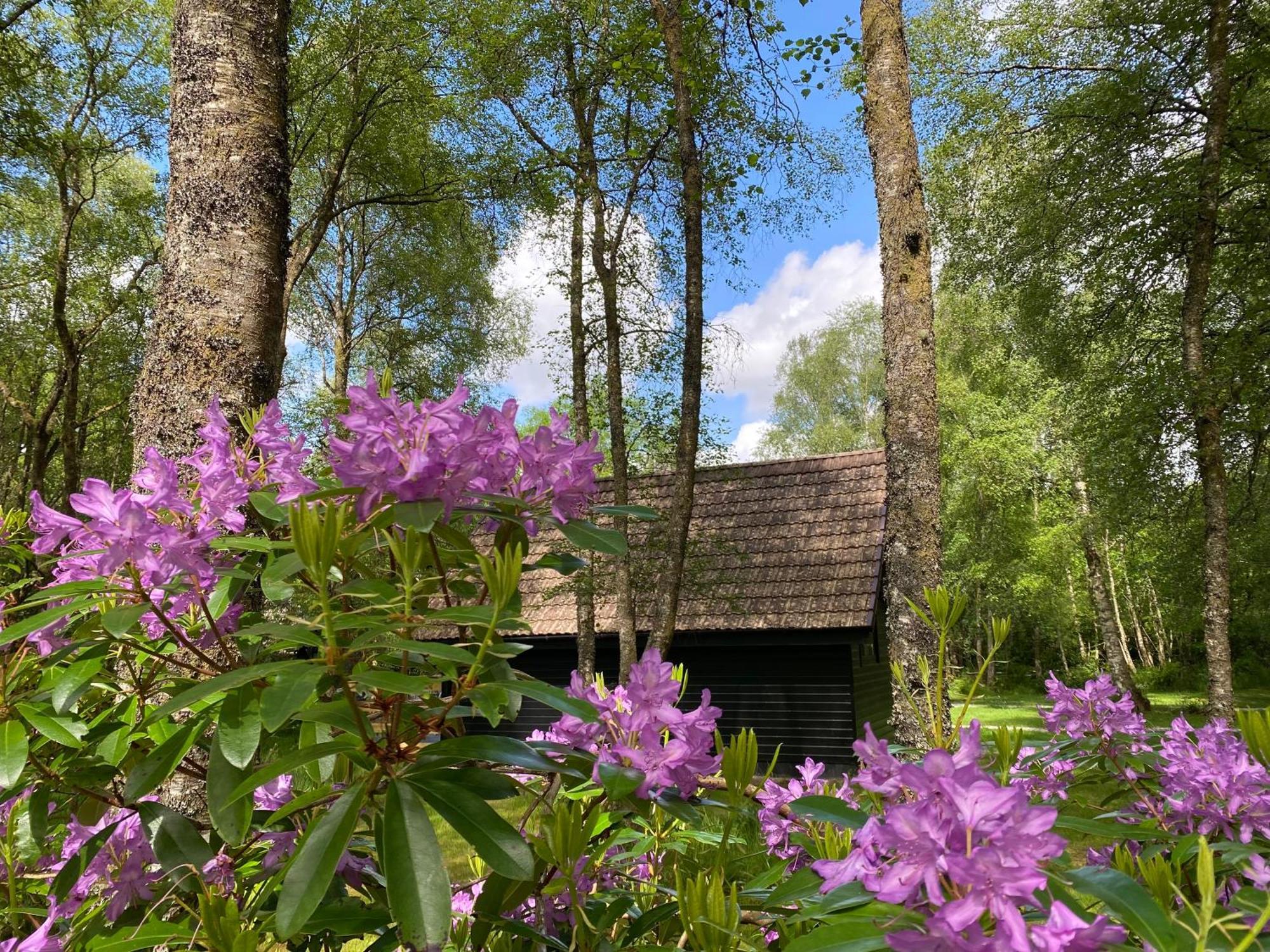 Burnbank Lodges Spean Bridge Kültér fotó